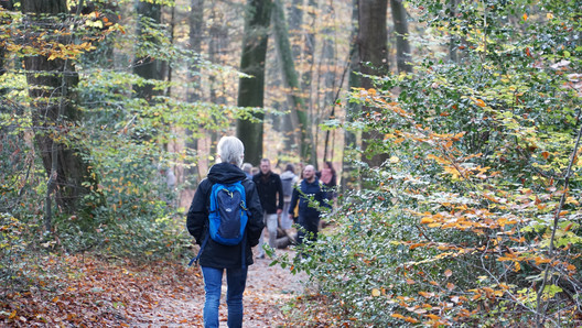 Menschen gehen im Wald spazieren