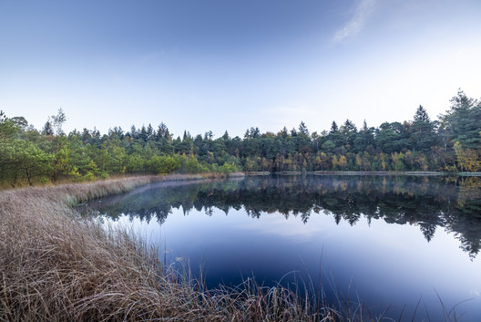 Stille am Pastorendiek, Waldteich im Sudwalder Gehege