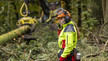 Forstwirtin überwacht Holztransport aus dem Wald