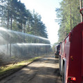 Wald, Brand, Klimawandel, Dürre