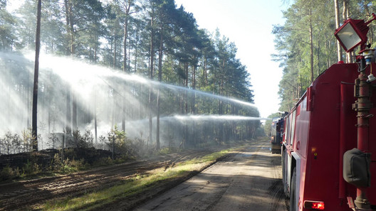 Wald, Brand, Klimawandel, Dürre