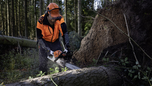 Forstwirt bei der Arbeit