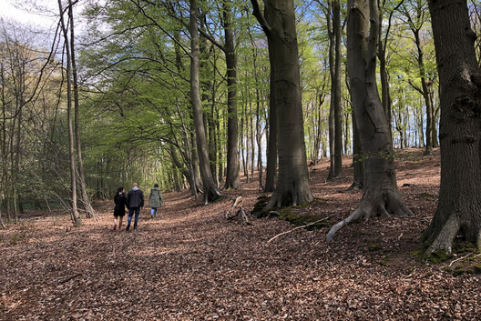 Waldwanderer im Freidorfer Wald