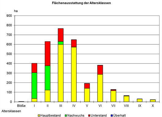 Grafik der Waldfläche in den Altersstufen