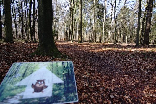 Auf dem Weg in geschützten Buchenwald bei Sulingen