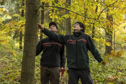 Sorgfältige Waldpflege im Erdmannwald durch zwei Förster