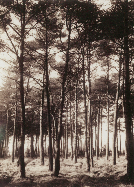 Waldzustand um 1900