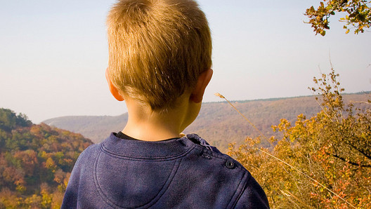 Kind schaut auf Wald