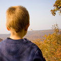 Bild Kind schaut auf Wald