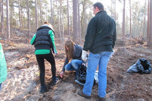 Jugendliche und Erwachsene pflanzen neuen Wald