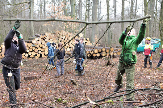 Pflanzfläche im Wald wird von Schülern und Schülerinnen mit der Hand geräumt