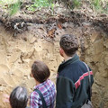 Ein Förster erklärt Waldbesuchern in einem Bodeneinschlag die Bedeutung des Bodens für das Waldökosystem