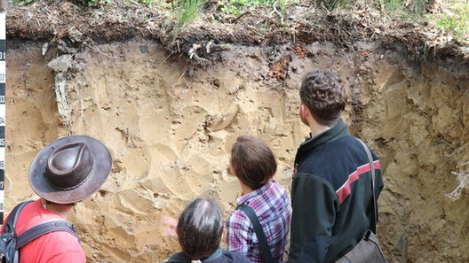 Ein Förster erklärt Waldbesuchern in einem Bodeneinschlag die Bedeutung des Bodens für das Waldökosystem