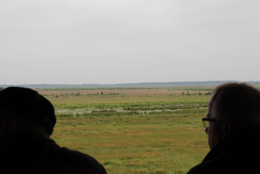 Blick vom Aussichtsturm in die Diepholzer Moorniederung