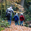 Vater mit Kindern im Wald