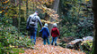 Vater mit Kindern im Wald