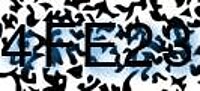 grafischer Sicherheitscode