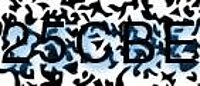 grafischer Sicherheitscode