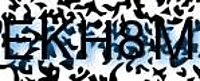 grafischer Sicherheitscode