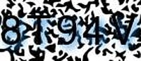 grafischer Sicherheitscode