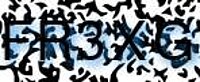 grafischer Sicherheitscode