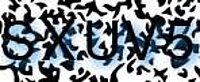 grafischer Sicherheitscode