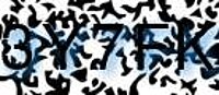 grafischer Sicherheitscode