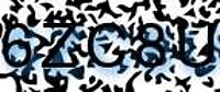 grafischer Sicherheitscode