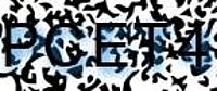 grafischer Sicherheitscode