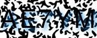 grafischer Sicherheitscode