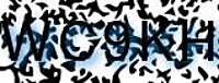 grafischer Sicherheitscode