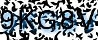 grafischer Sicherheitscode