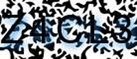 grafischer Sicherheitscode