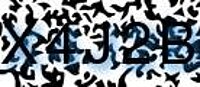 grafischer Sicherheitscode