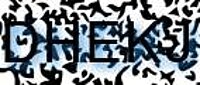 grafischer Sicherheitscode