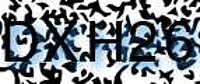 grafischer Sicherheitscode