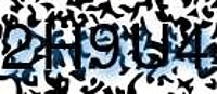 grafischer Sicherheitscode