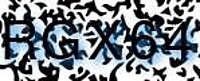 grafischer Sicherheitscode