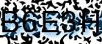 grafischer Sicherheitscode