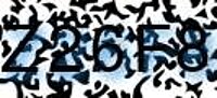grafischer Sicherheitscode