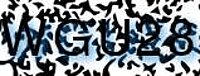 grafischer Sicherheitscode