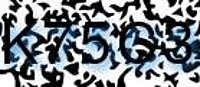 grafischer Sicherheitscode