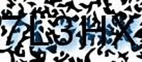 grafischer Sicherheitscode