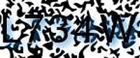 grafischer Sicherheitscode