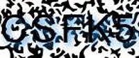 grafischer Sicherheitscode