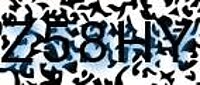 grafischer Sicherheitscode