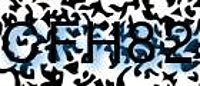 grafischer Sicherheitscode