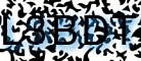 grafischer Sicherheitscode