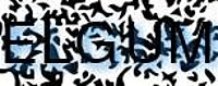 grafischer Sicherheitscode