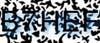 grafischer Sicherheitscode